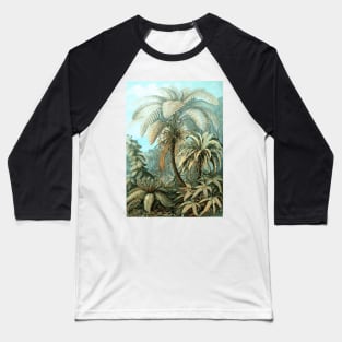 Botanical, vintage, ferns, palm trees, rainforest Baseball T-Shirt